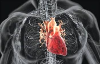 Электрофизиологическое исследование сердца в Индии