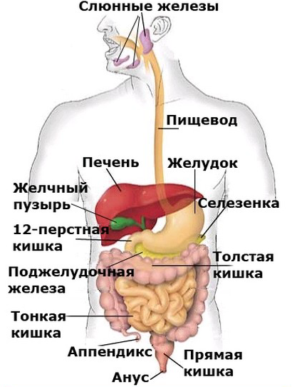 Картинки заболевания жкт